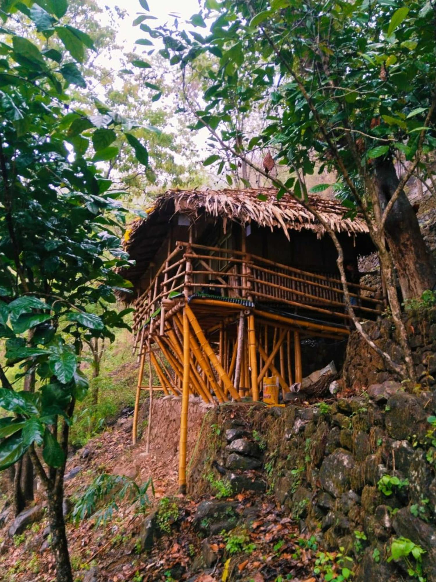 Sunset Valley Kerala Pool Resort - Serene Natural Forest Cottage Stay In Idukki With Sunrise & Sunset Panoramas, Natural Streams & Tranquil Summer Evenings Pīrmed 외부 사진